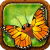 Flutter Butterfly Sanctuary icon