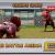 Jurassic Park Builder FULL NEW Battle Arena Unveiled!